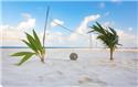 Veranstaltungsbild Sport und Spiel I